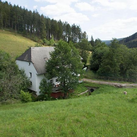 Zur Alten Oele - Hochwertig Und Familienfreundlich Lenzkirch Eksteriør billede