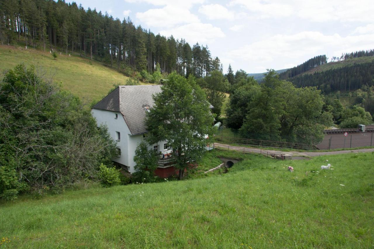 Zur Alten Oele - Hochwertig Und Familienfreundlich Lenzkirch Eksteriør billede