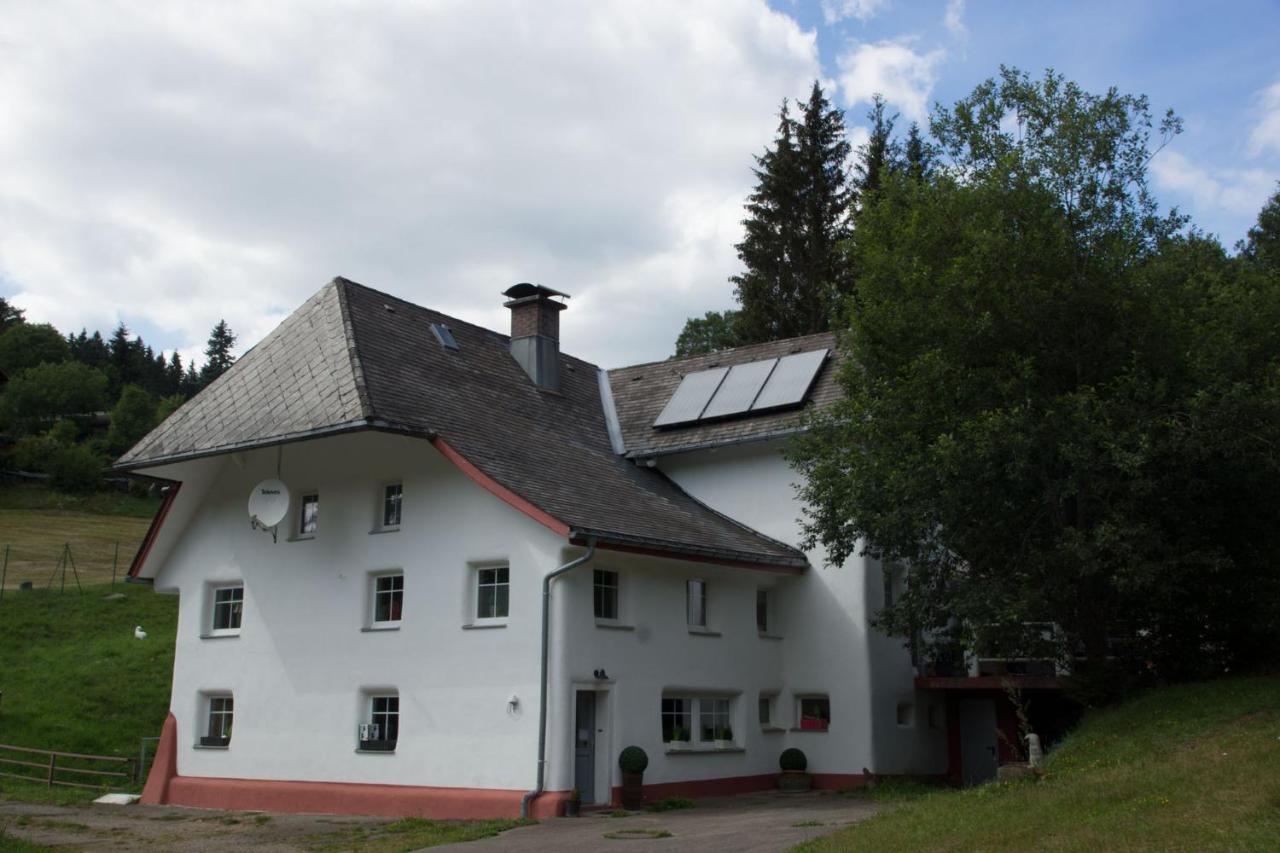 Zur Alten Oele - Hochwertig Und Familienfreundlich Lenzkirch Eksteriør billede