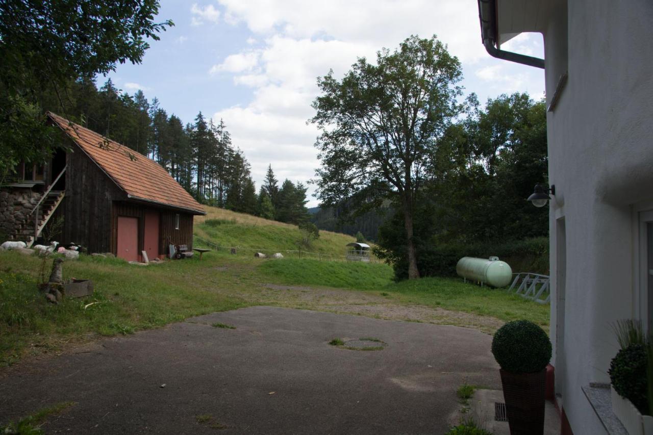 Zur Alten Oele - Hochwertig Und Familienfreundlich Lenzkirch Eksteriør billede